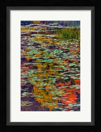 Framed Lily Pads And Autumn Reflections At Babcock State Park Print