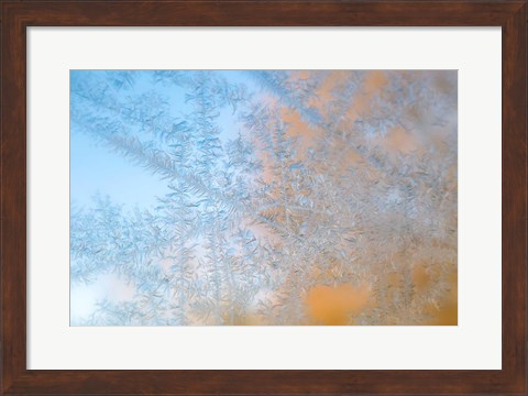 Framed Frost Patterns Formed On Glass Print