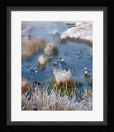 Framed Frost Along White Creek, Wyoming Print