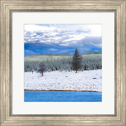 Framed Yellowstone National Park In Winter, Wyoming Print
