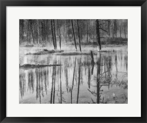Framed Mistry Creek, Wyoming (BW) Print
