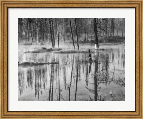 Framed Mistry Creek, Wyoming (BW) Print