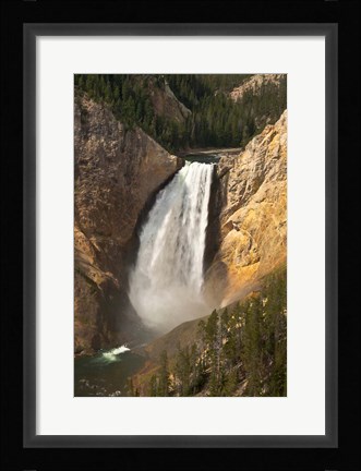 Framed Lower Falls Of The Yellowstone, Lookout Point, Wyoming Print
