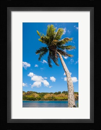 Framed Umatac Bay Palm Tree, Guam Print
