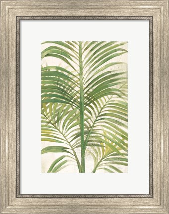 Framed Palms II Bright Print