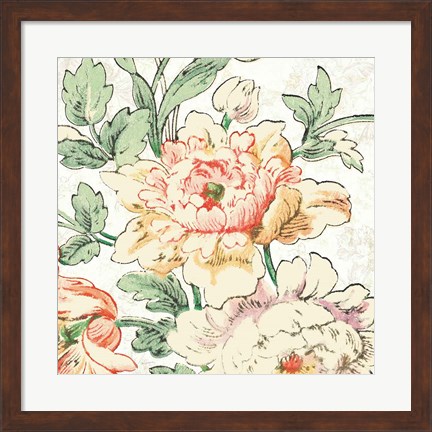 Framed Cottage Roses VI Print