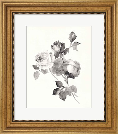 Framed Rose Blossoms Gray Print