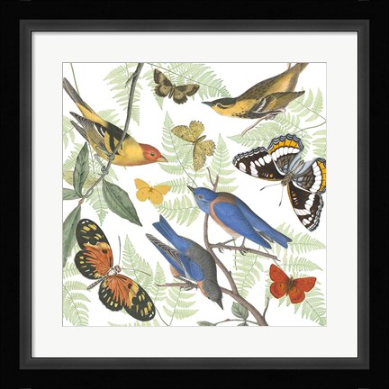 Framed Natures Flight I Print