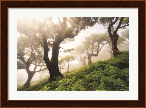 Framed Just Some Trees on a Hill Print
