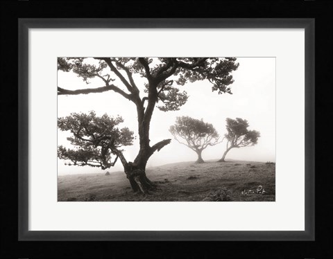 Framed Creatures Print