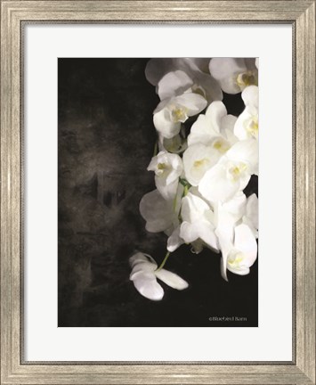 Framed Contemporary White Orchids Print