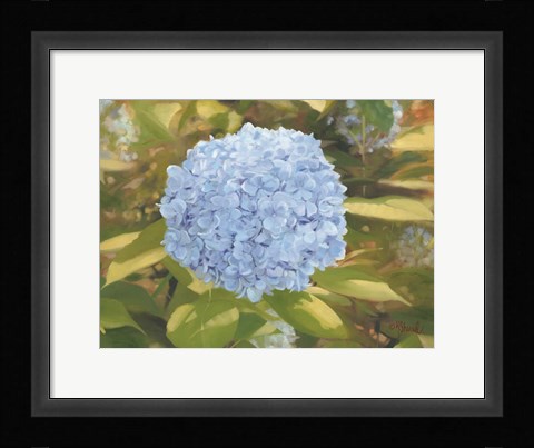 Framed In the Garden Print