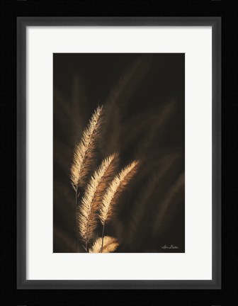 Framed Golden Grass III Print