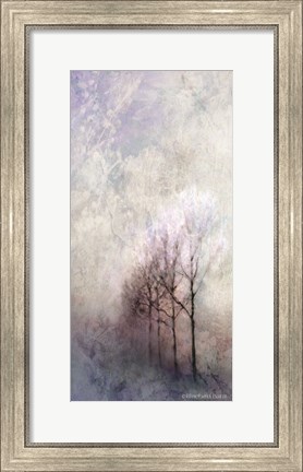 Framed First Light Winter Forest Print