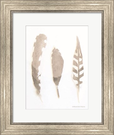 Framed Soft Feathers Study Print