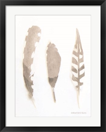 Framed Soft Feathers Study Print