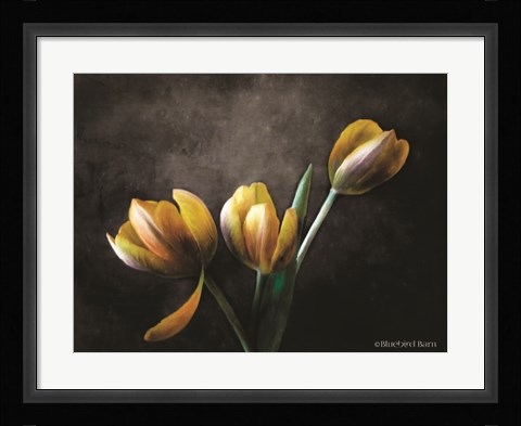 Framed Contemporary Floral Tulips Print