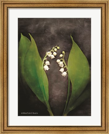 Framed Contemporary Floral Lily of the Valley Print