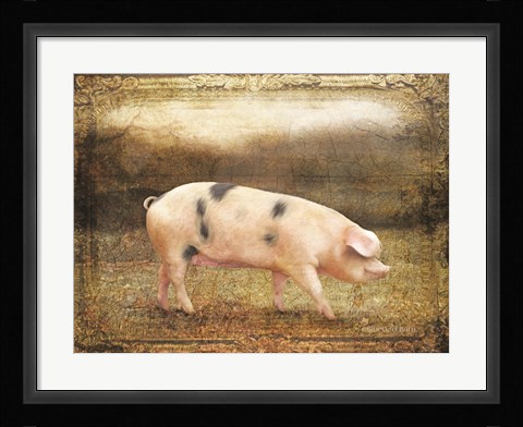 Framed Vintage Sow Print