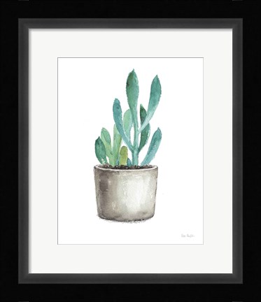 Framed Mixed Greens Succulent V Print