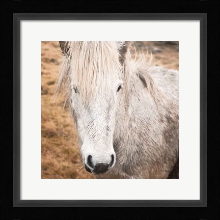 Framed Heida IV Print