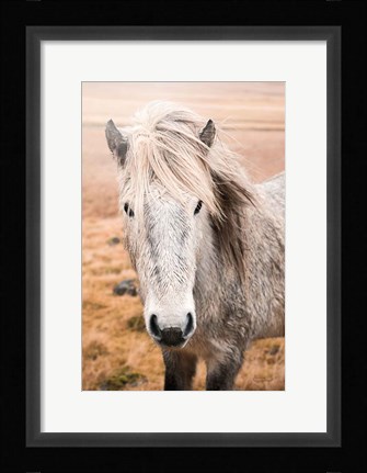 Framed Heida II Print