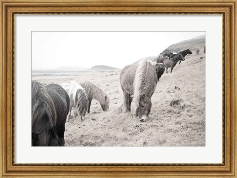 Framed Horses of Hofn II BW Print