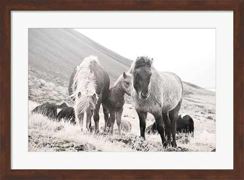 Framed Horses of Hofn I BW Print