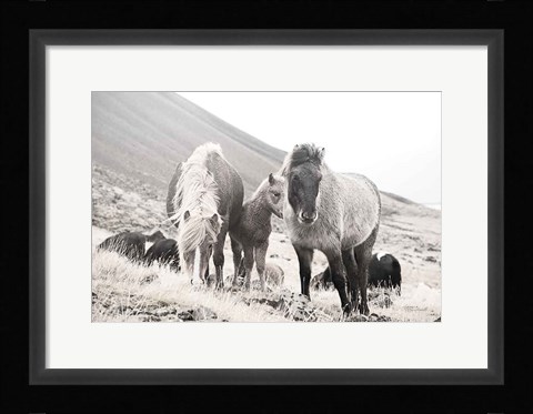 Framed Horses of Hofn I BW Print