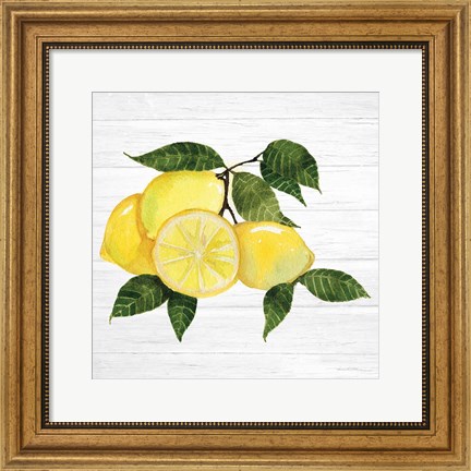 Framed Citrus Garden VI Shiplap Print