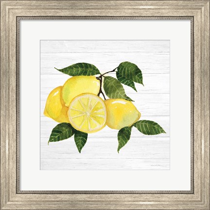 Framed Citrus Garden VI Shiplap Print