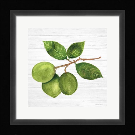 Framed Citrus Garden II Shiplap Print