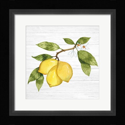 Framed Citrus Garden I Shiplap Print
