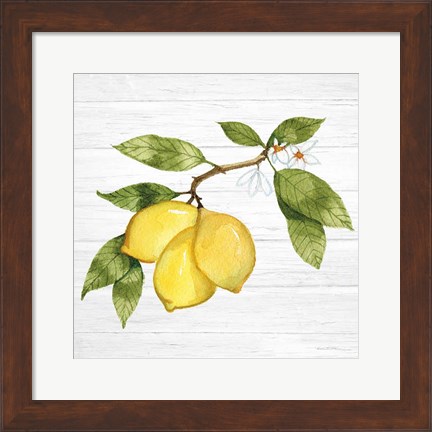 Framed Citrus Garden I Shiplap Print