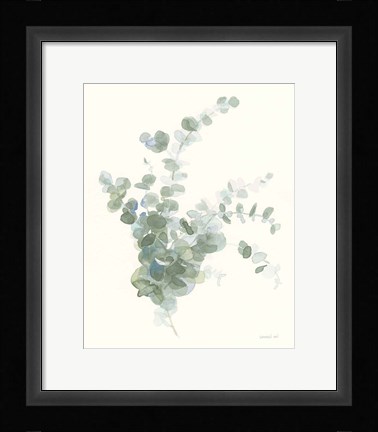 Framed Scented Sprig II Cool Print