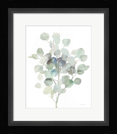Framed Eucalyptus III Cool Print