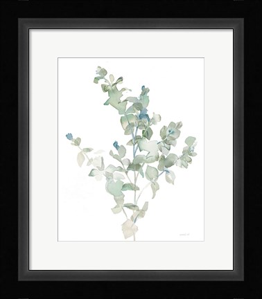 Framed Eucalyptus II Cool Print