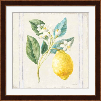 Framed Floursack Lemons I Sq Navy Print