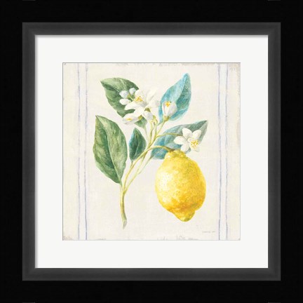 Framed Floursack Lemons I Sq Navy Print