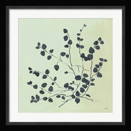 Framed Botanical Study VII Sage Print