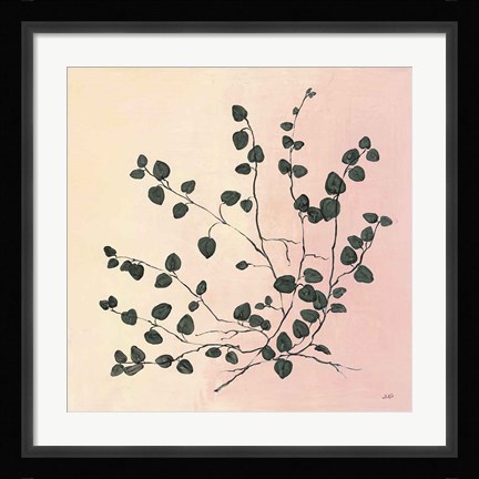 Framed Botanical Study VII Blush Print