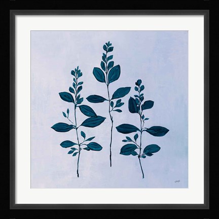 Framed Botanical Study IV Blue Print