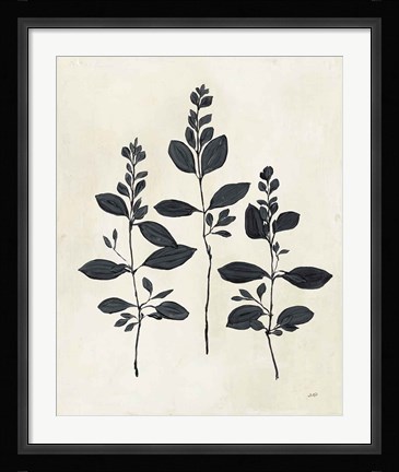 Framed Botanical Study IV Print