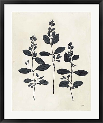 Framed Botanical Study IV Print