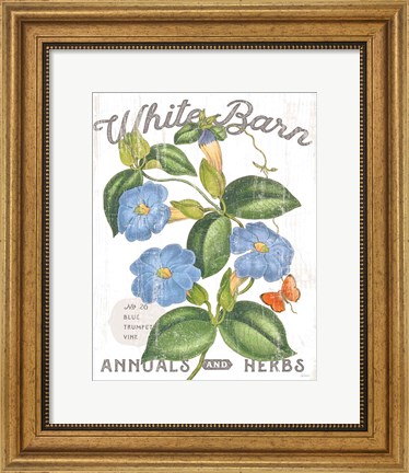Framed White Barn Flowers II Print