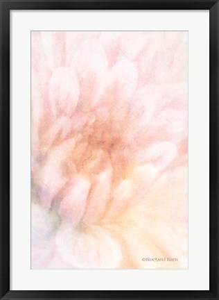Framed Soft Dahlia Pastel Peach Print