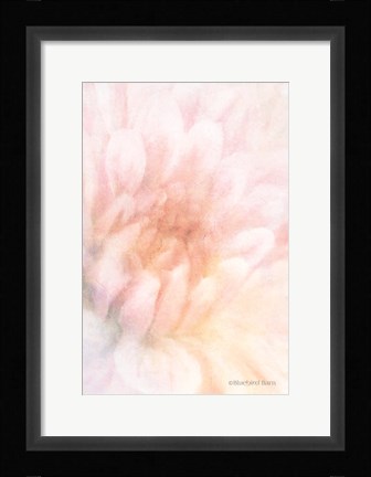 Framed Soft Dahlia Pastel Peach Print