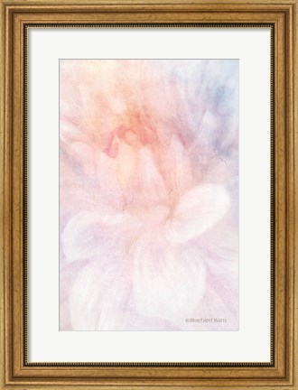 Framed Soft Dahlia Pastel Peach Lilac Print