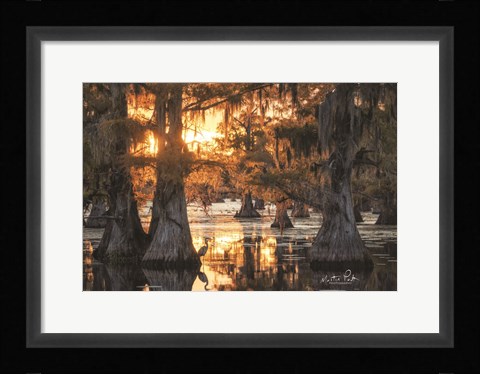 Framed Sunset in the Swamps Print