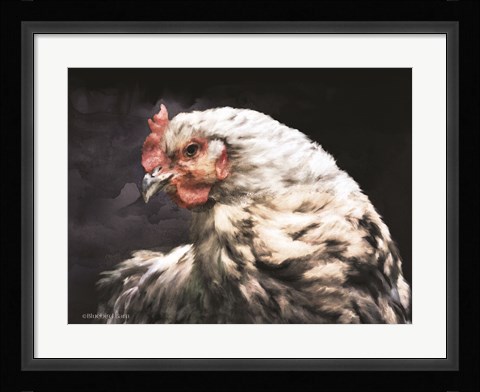 Framed Rooster Portrait Print